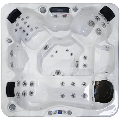 Avalon EC-849L hot tubs for sale in Columbia